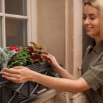 5-cudovitih-rastlin-za-balkon-ki-jih-ni-treba-zalivati.webp.webp
