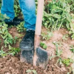 7-slabih-vrtnarskih-navad-ki-jih-ima-vsakdo-pokvarijo-zelenjavni.webp.webp