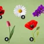 kateri-cvetlicni-geniji-bodo-izbrali-test-cvetlicne-osebnosti.webp.webp